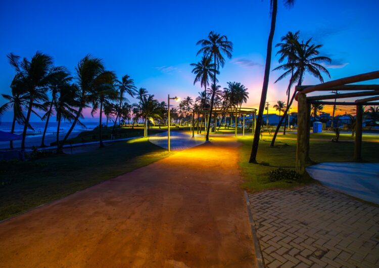 Em parceria com o Tamar, Prefeitura implanta iluminação especial nas áreas de desova de tartarugas marinhas