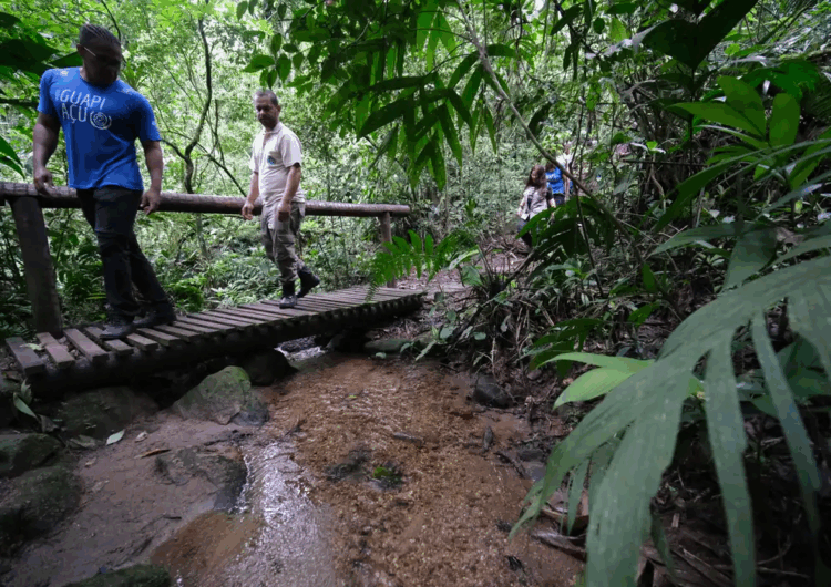 Confira os principais cuidados a serem tomados ao fazer trilhas