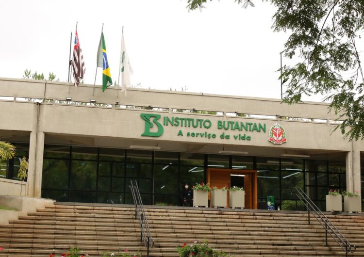 Butantan se prepara para testar vacina contra gripe aviária em humanos