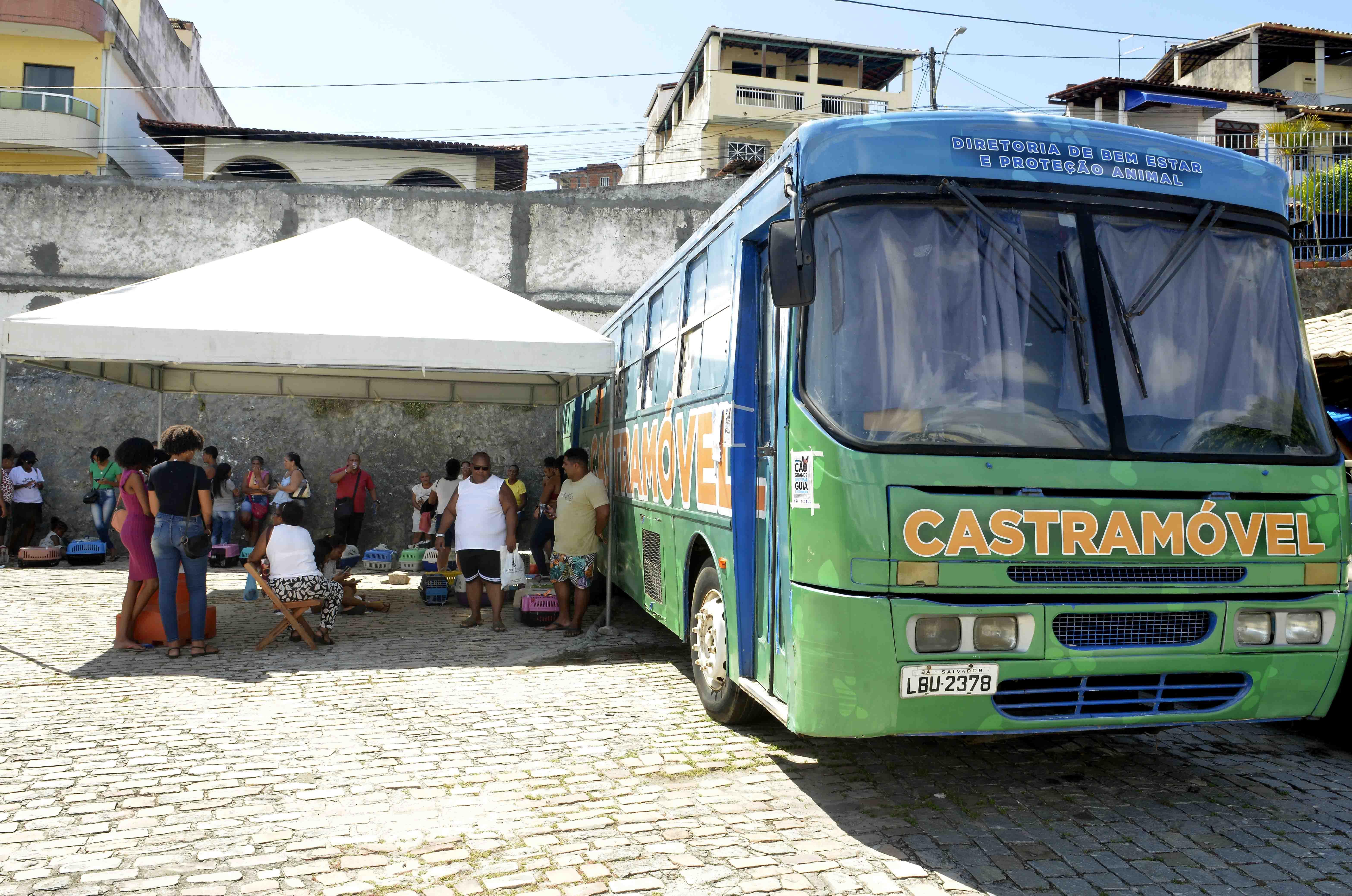 Castramóvel prossegue com castrações gratuitas de cães e gatos em Itapuã e Fazenda Grande do Retiro