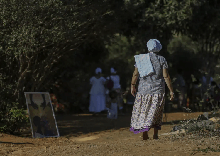 IBGE revela que 11,8 milhões de pessoas vivem em áreas de conservação