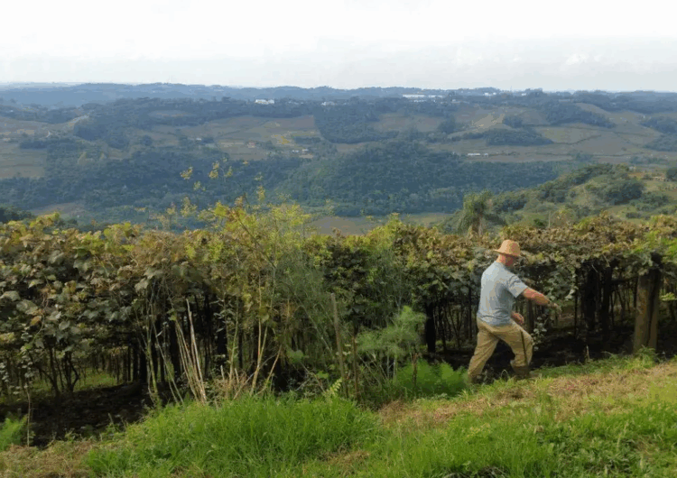 Entrega da declaração do ITR 2025 vai até 30 de setembro