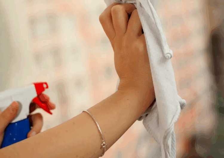 Mais de 80 mil empregadores deverão regularizar FGTS de domésticas