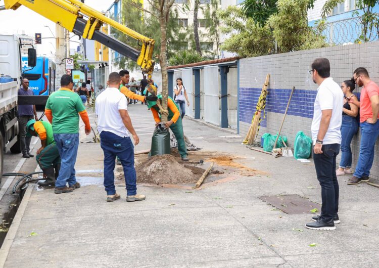 Secis realiza mais uma etapa de plantio de árvores pelo Corredor Verde na Avenida Manoel Dias