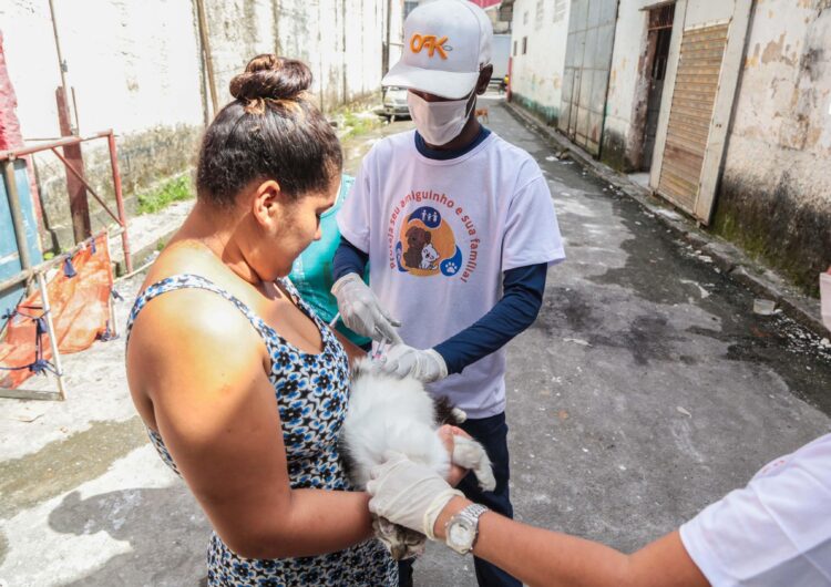 Mais de 100 mil cães e gatos já foram vacinados em Salvador