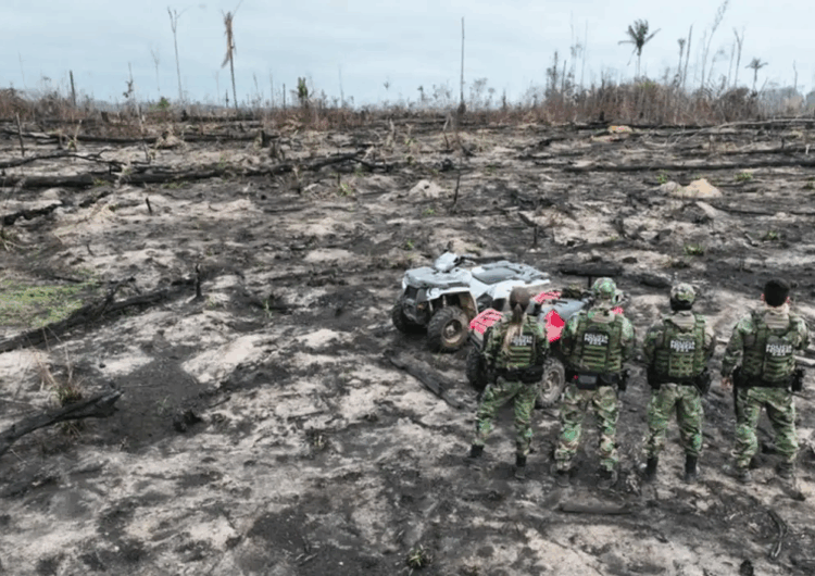 Estudo revela que desmatamento na Amazônia ameaça igarapés e segurança hídrica