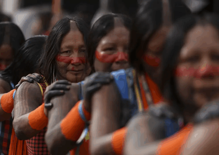 IBGE: 391 etnias indígenas falam 295 línguas no Brasil