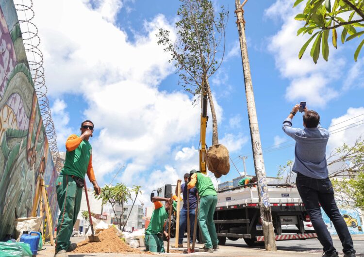 Corredor Verde: Prefeitura chega a 61 árvores plantadas na Pituba e planeja ação no Cabula
