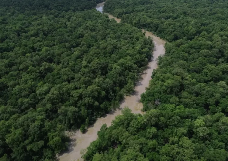 Áreas protegidas são quase metade da Amazônia Legal