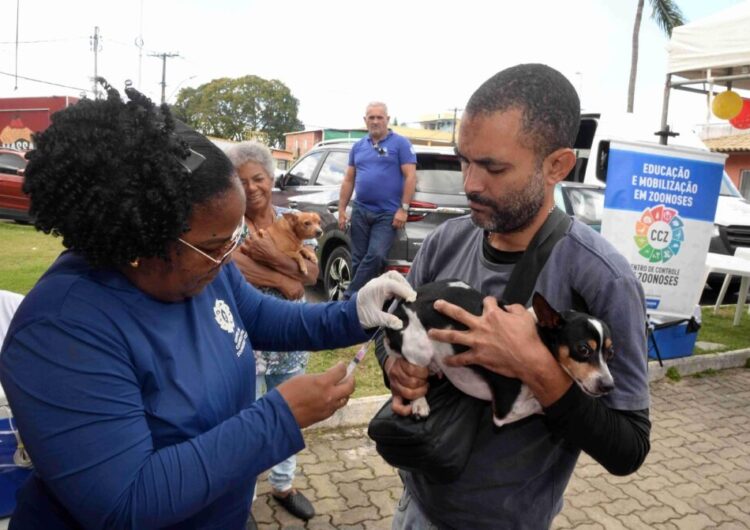 Vacinação antirrábica alcança mais de 310 mil animais imunizados em Salvador