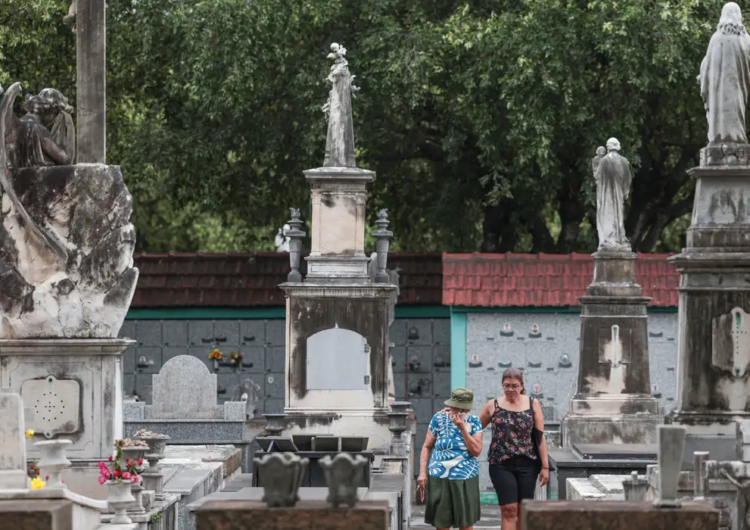 Mortes no país crescem 4,6% em 2024, maior alta fora anos de pandemia