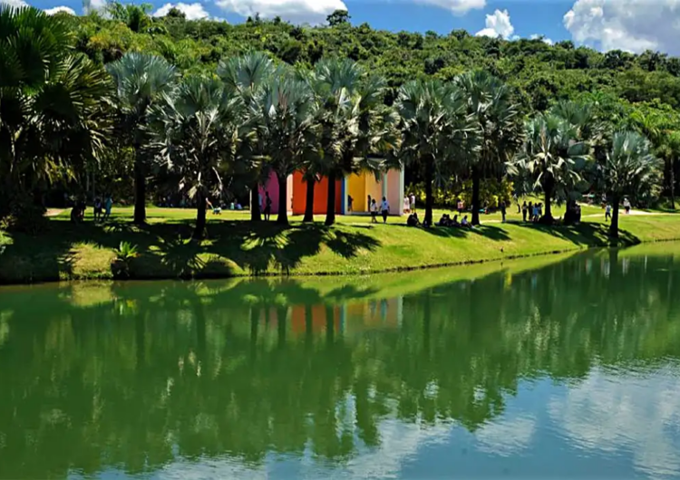 Museu Inhotim, em Minas Gerais, tem recorde de visitação em 2025
