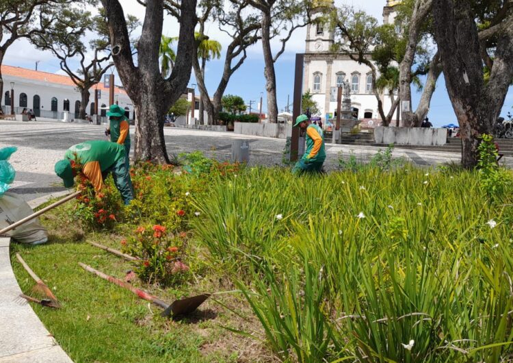 Prefeitura reforça manutenção periódica do paisagismo e arborização na cidade