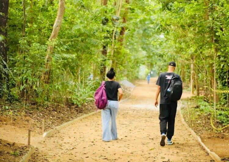 Parques e espaços culturais são opções gratuitas e acessíveis para lazer em Salvador durante o verão