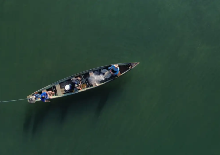 Ministério da Pesca cancela mais de 76 mil licenças de pescadores