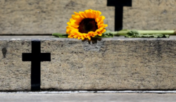 Brasil atinge recorde de feminicídios em 2025: quatro mortes por dia