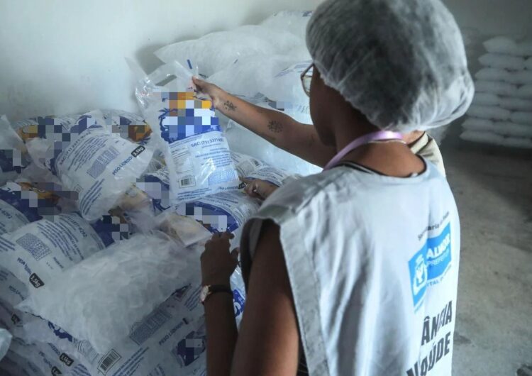 Saúde de Salvador divulga lista de indústrias de gelo autorizadas para comercializar o produto no Carnaval