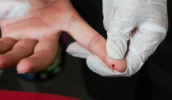 Teste rápido de dengue passa a integrar tabela do SUS