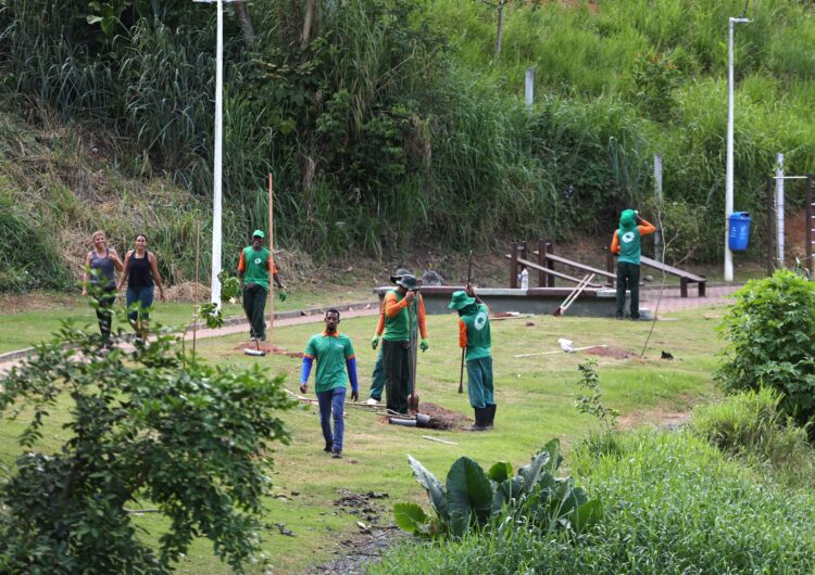 Prefeitura inicia Operação Plantio Chuva 2026 com 125 mudas na região do Mané Dendê
