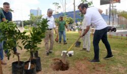 Salvador é reconhecida internacionalmente como “Tree City of the World”