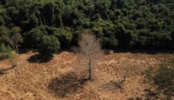 Governo investe R$ 132 milhões em regularização fundiária na Amazônia