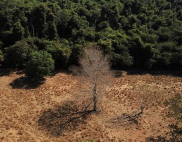 Governo investe R$ 132 milhões em regularização fundiária na Amazônia