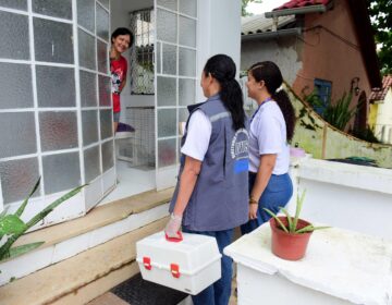 Esporotricose em gatos: saiba identificar sintomas e como buscar atendimento em Salvador