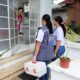 Esporotricose em gatos: saiba identificar sintomas e como buscar atendimento em Salvador
