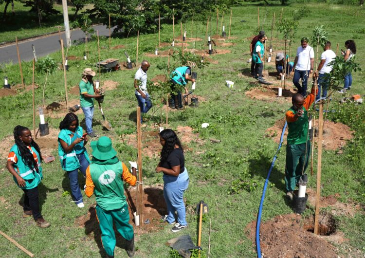 Operação da Secis promove plantio de 30 mudas na região de São Cristóvão