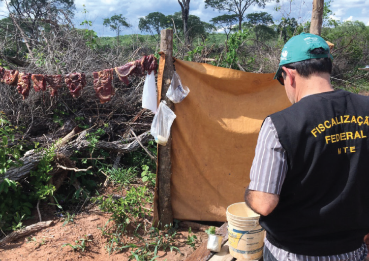 Amado Batista e BYD são incluídos em lista de trabalho escravo do MTE