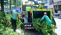 Salvador conta com primeira máquina trituradora de podas para reciclagem orgânica