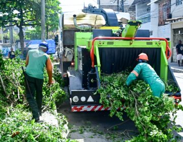 Salvador conta com primeira máquina trituradora de podas para reciclagem orgânica