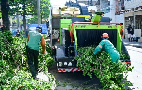 Salvador conta com primeira máquina trituradora de podas para reciclagem orgânica