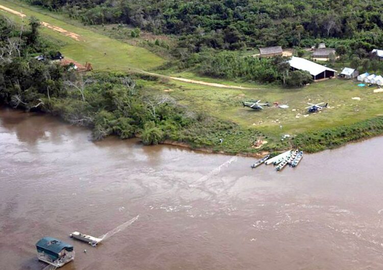 Brasil reduz em 42% perdas florestais em 2025, aponta estudo