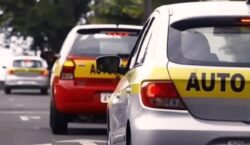 Governo lança plataforma para facilitar obtenção da CNH