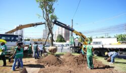 Prefeitura inicia nova etapa do Corredor Verde com o plantio de 112 árvores no Cabula