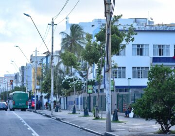 Prefeitura destaca desafio técnico e ambiental do plantio de árvores no Corredor Verde da Av. Manoel Dias