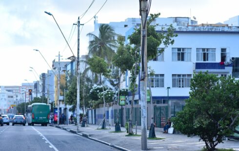 Prefeitura destaca desafio técnico e ambiental do plantio de árvores no Corredor Verde da Av. Manoel Dias