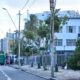 Prefeitura destaca desafio técnico e ambiental do plantio de árvores no Corredor Verde da Av. Manoel Dias