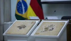 Brasil quer recuperar dinossauros e patrimônios que estão em 14 países
