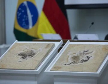 Brasil quer recuperar dinossauros e patrimônios que estão em 14 países