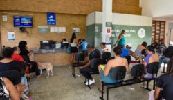 Hospital Público Veterinário de Salvador reforça que abandono de animais é crime