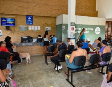 Hospital Veterinário de Salvador implanta consultório especializado em esporotricose