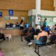 Hospital Público Veterinário de Salvador reforça que abandono de animais é crime
