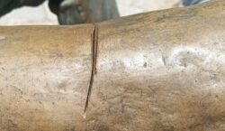 Vandalismo a monumentos públicos causa prejuízo e exige trabalho contínuo da Prefeitura em manutenção e restauro