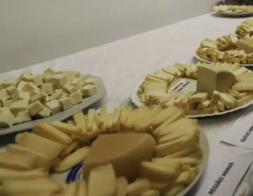 Brasil começa a importar queijo mais barato após acordo Mercosul–UE