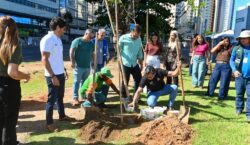 Prefeitura de Salvador inicia plantio de mais de 1 mil mudas de árvores na Avenida ACM
