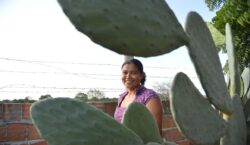 Mulheres comandam produção em duas em cada dez propriedades rurais