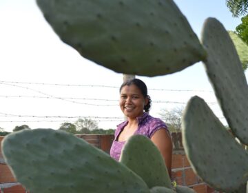 Mulheres comandam produção em duas em cada dez propriedades rurais