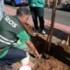 Prefeitura oferece programa Plante no Passeio para ampliar arborização de Salvador